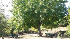 ���� ��� ���� ���� | Imot.bg � ����� ������ 12