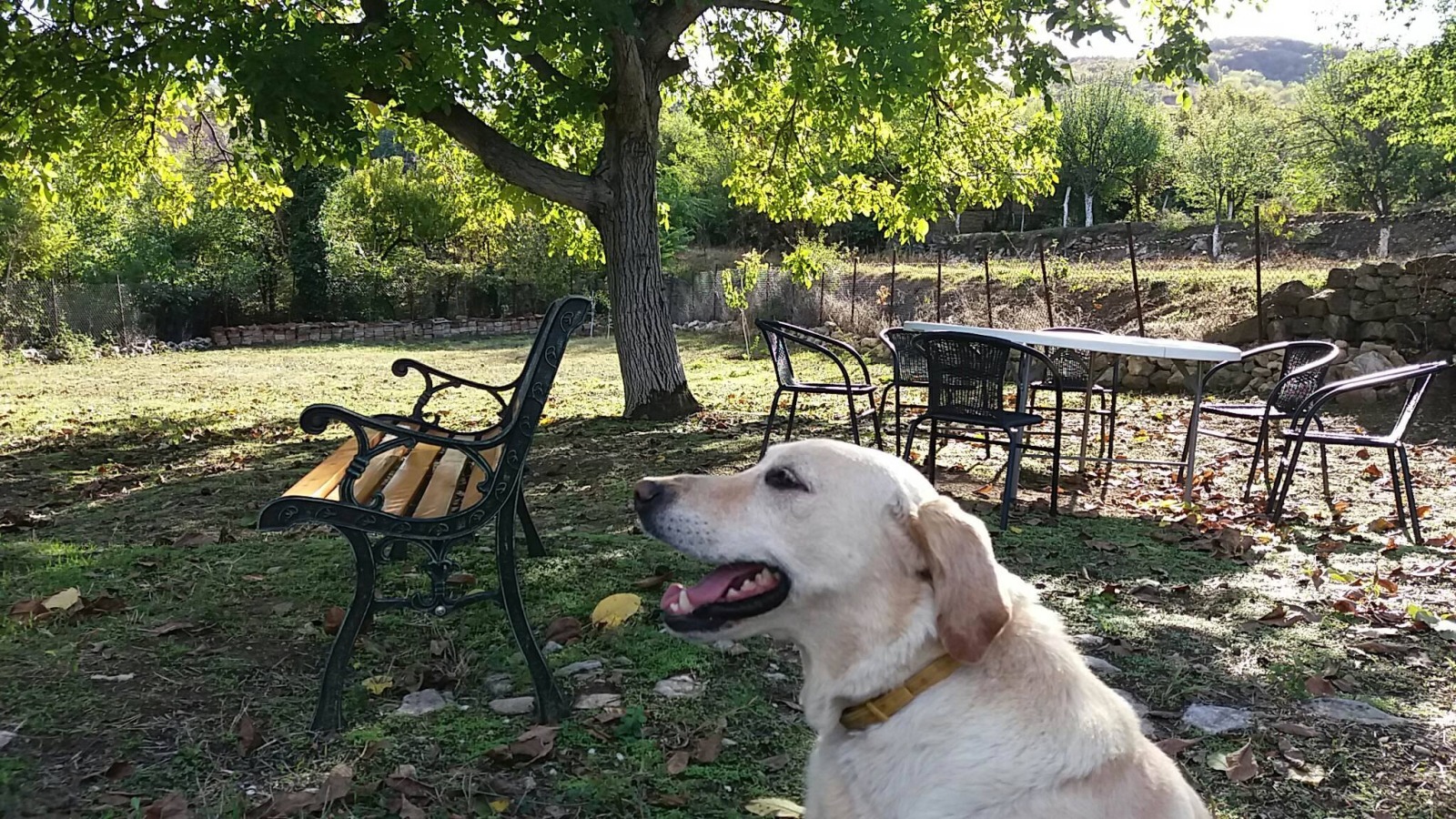 Дава под наем КЪЩА, с. Самоводене, област Велико Търново, снимка 16 - Къщи - 53677677