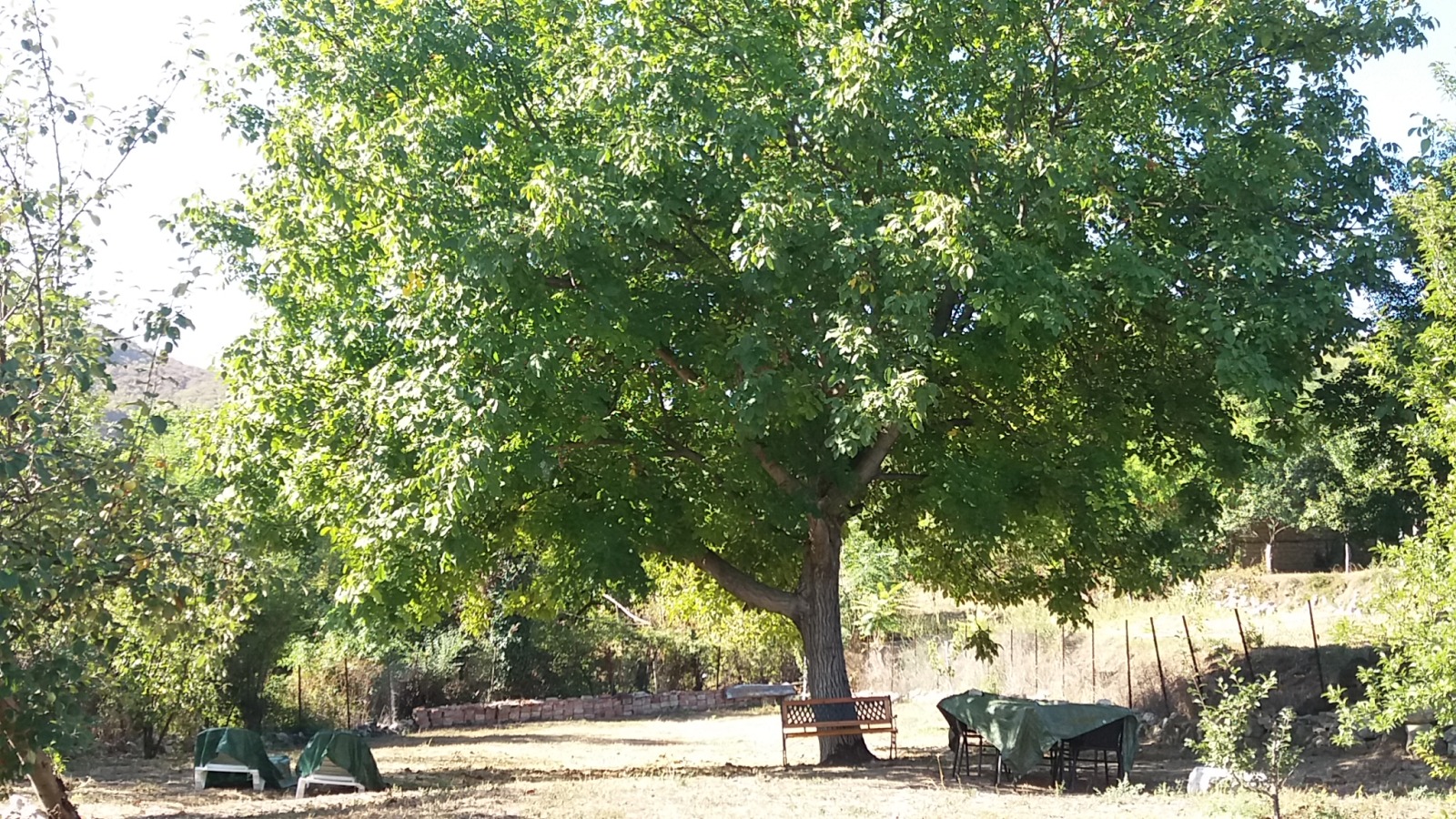 Дава под наем КЪЩА, с. Самоводене, област Велико Търново, снимка 12 - Къщи - 53677677