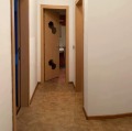 Под наем 3-СТАЕН, град София, Борово • 699 € • 90948094 — Holmes.bg