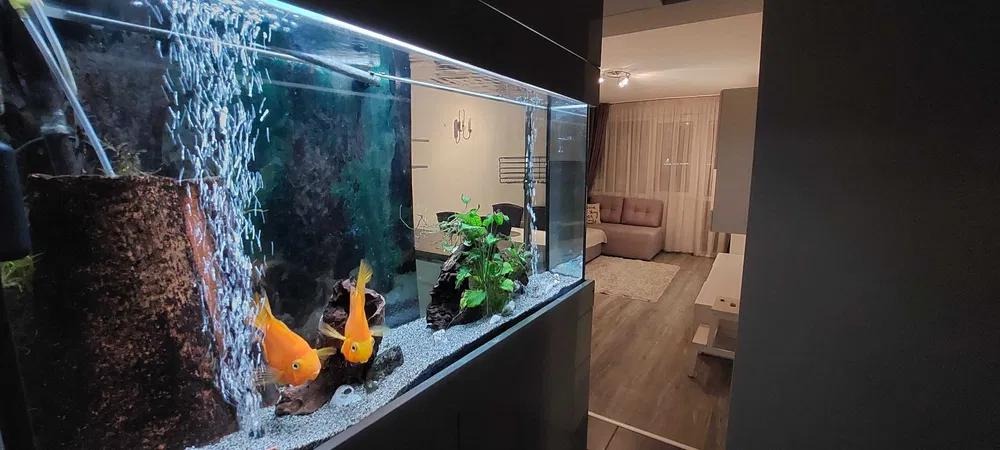 ���� ��� ���� 3-����� | Imot.bg � ����������� 7