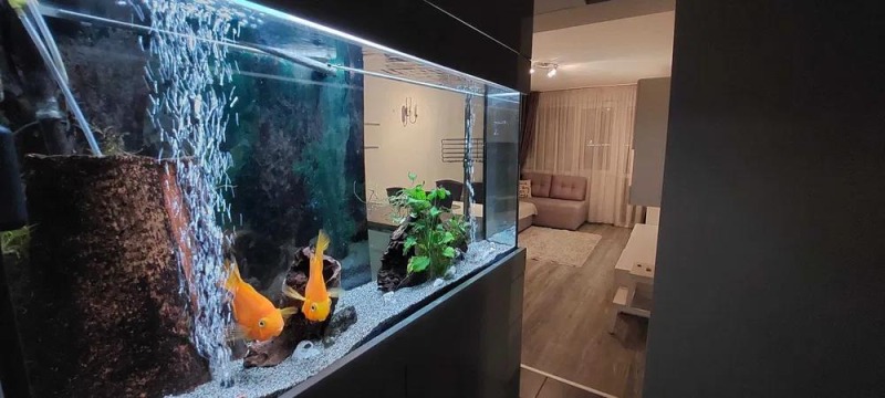 Дава под наем 3-СТАЕН, гр. Варна, Окръжна болница-Генерали, снимка 6 - Апартаменти - 51261475