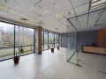 Дава под наем ОФИС, гр. София, Бъкстон, снимка 13