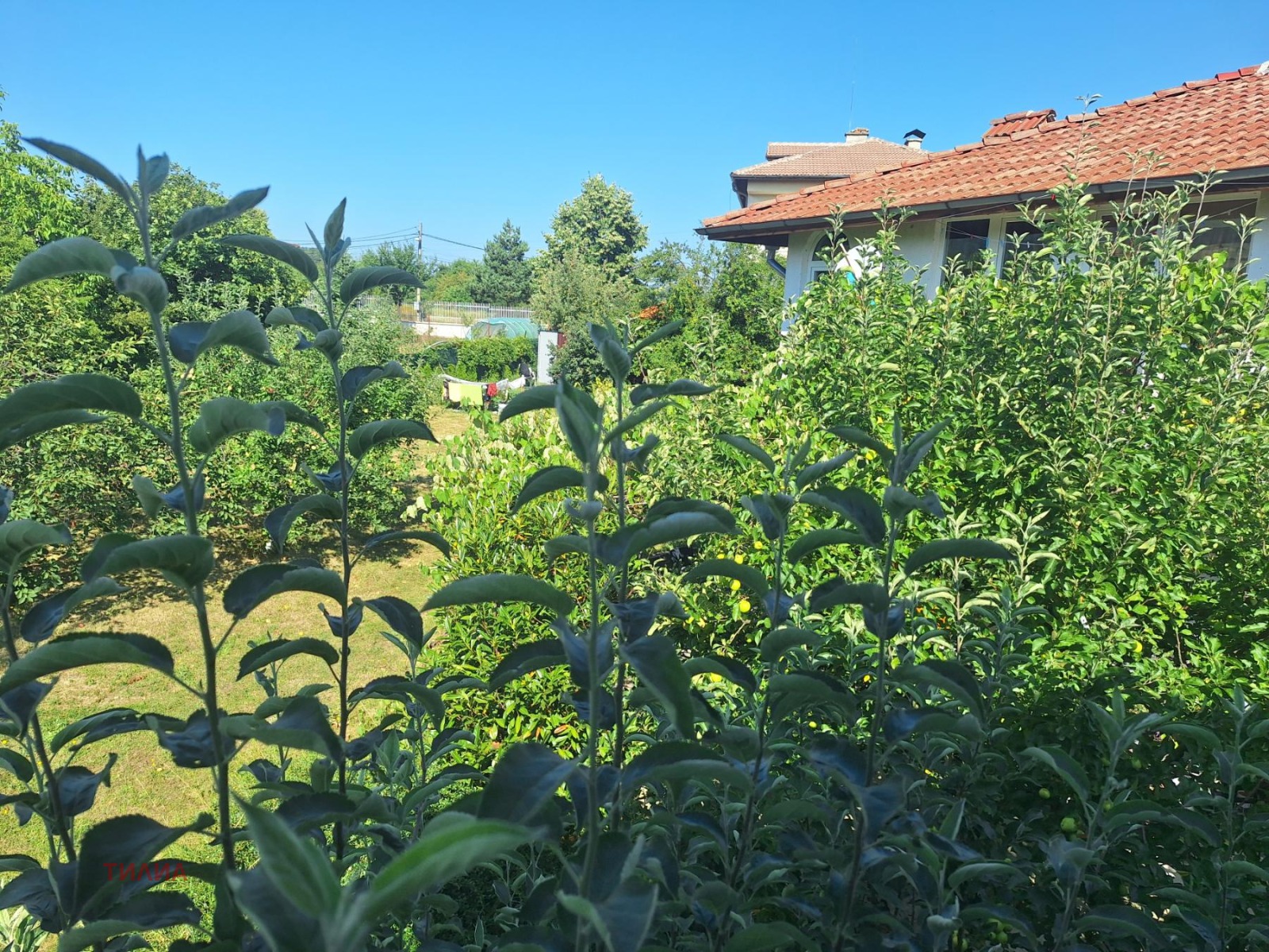 ���� ��� ���� ���� | Imot.bg � ����������� 11