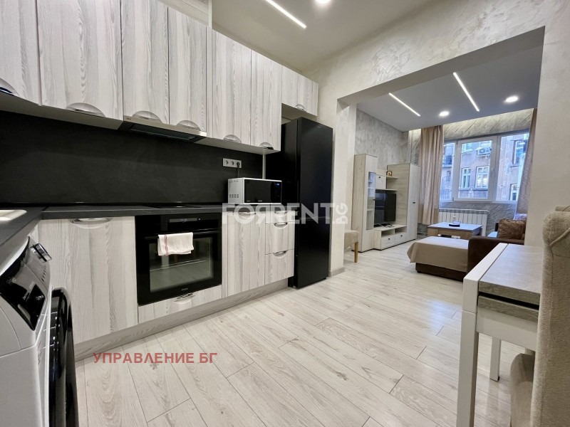 Дава под наем 2-СТАЕН, гр. София, Център, снимка 4 - Апартаменти - 54036793