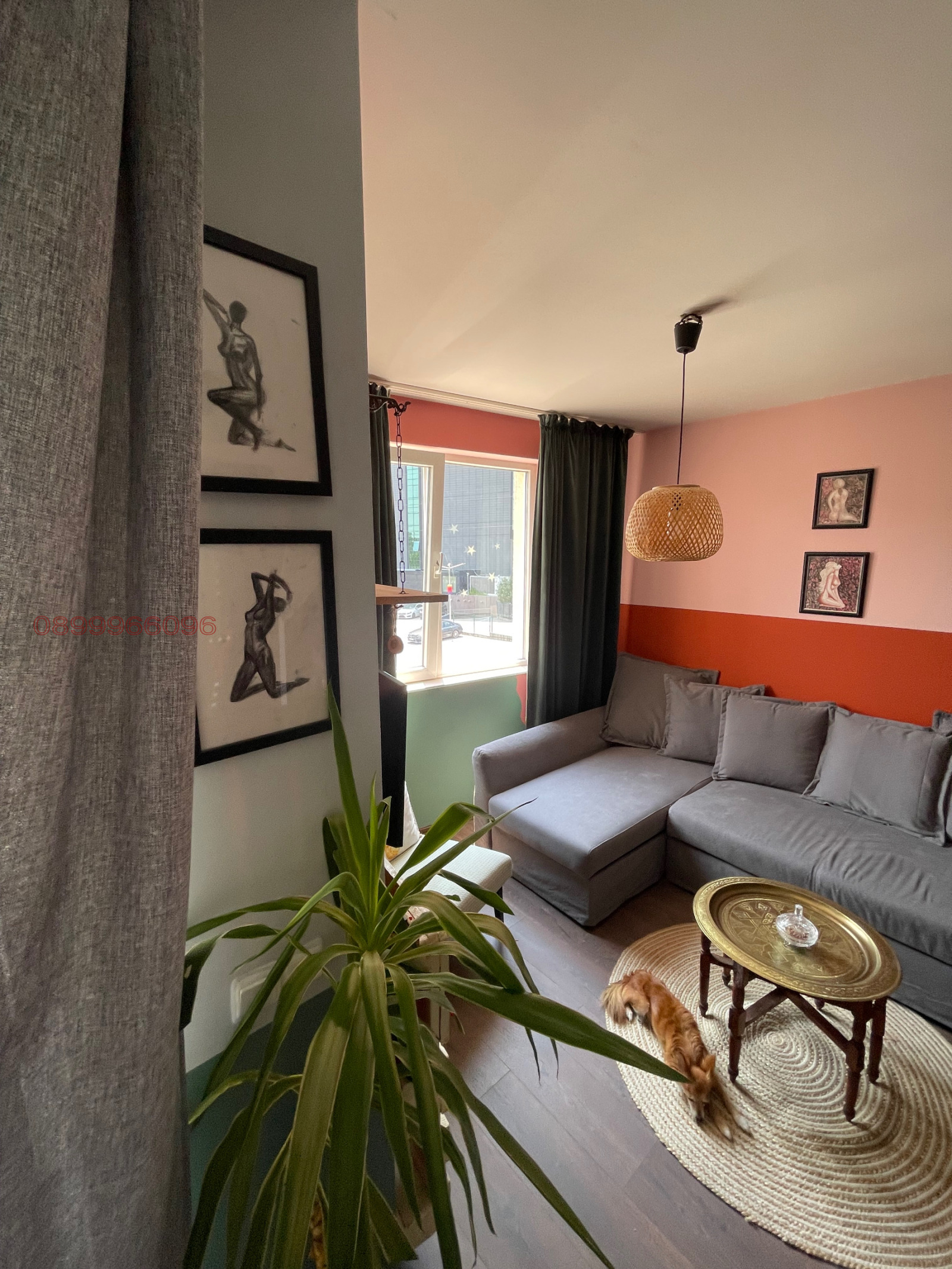 ���� ��� ���� 2-����� | Imot.bg � ����������� 5