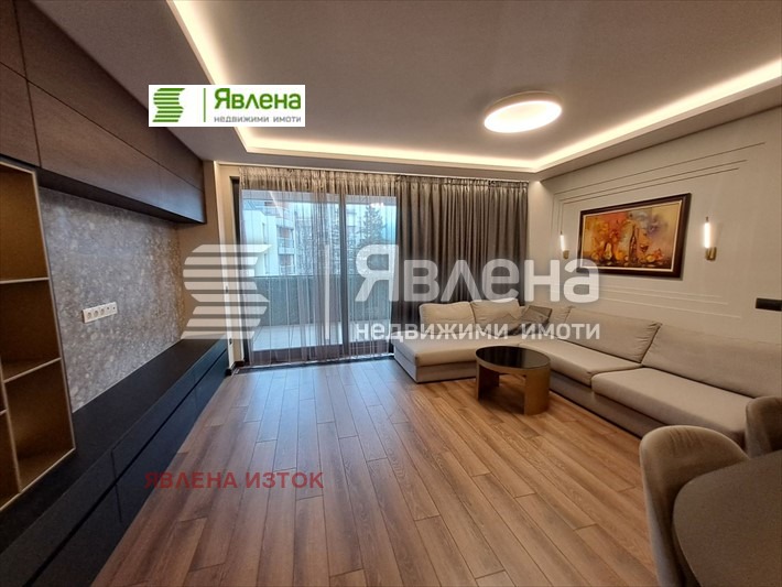 Дава под наем 3-СТАЕН, гр. София, Лозенец, снимка 3 - Апартаменти - 53360150