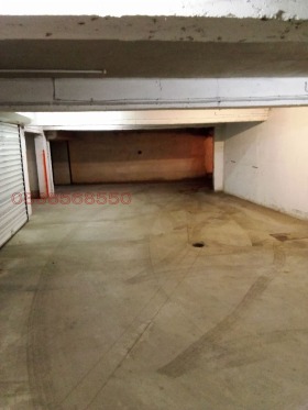 ����� ���� ��� ���� �����,���� �����, ������ �����