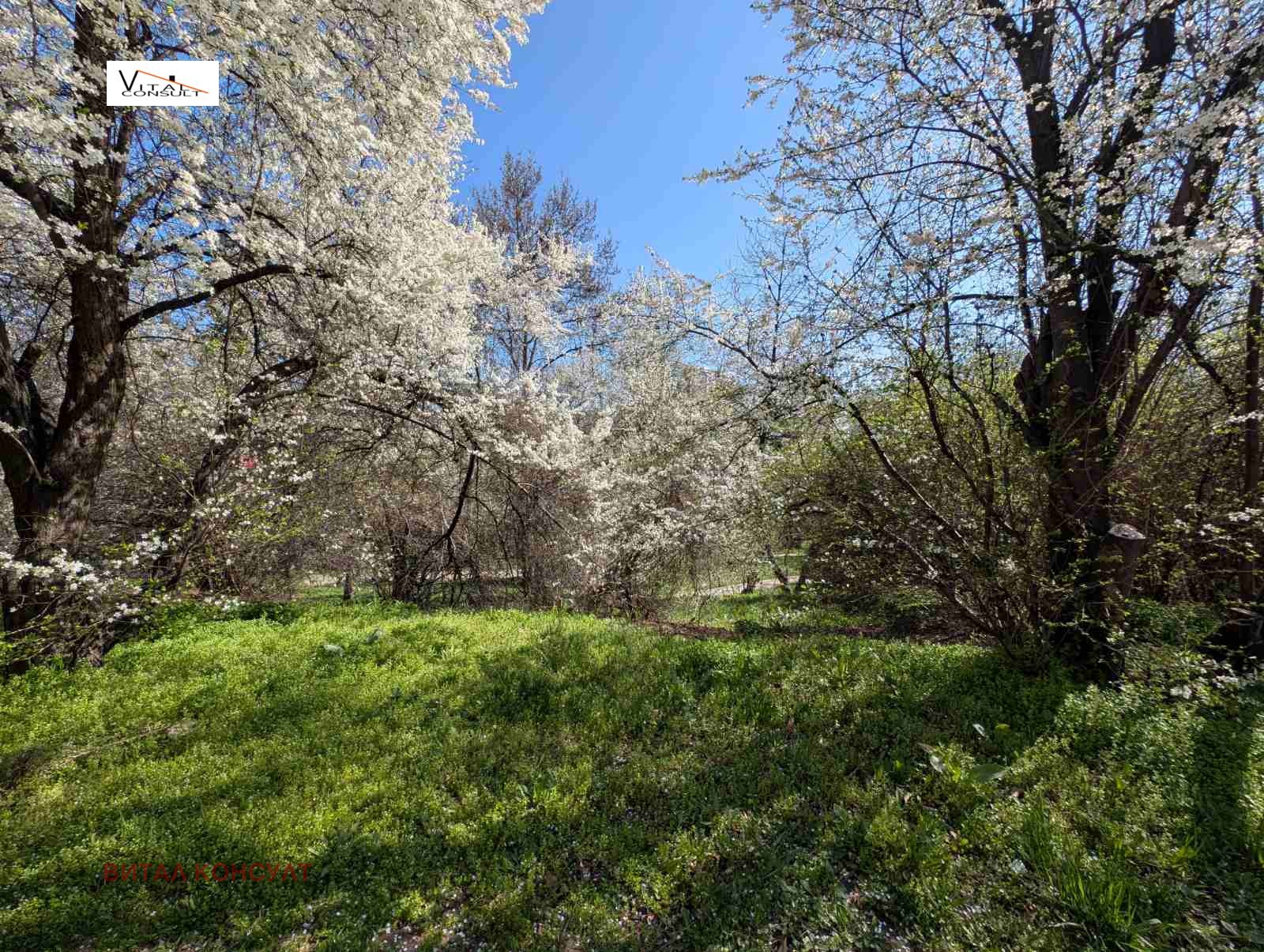 ���� ��� ���� 2-����� | Imot.bg � ����������� 13