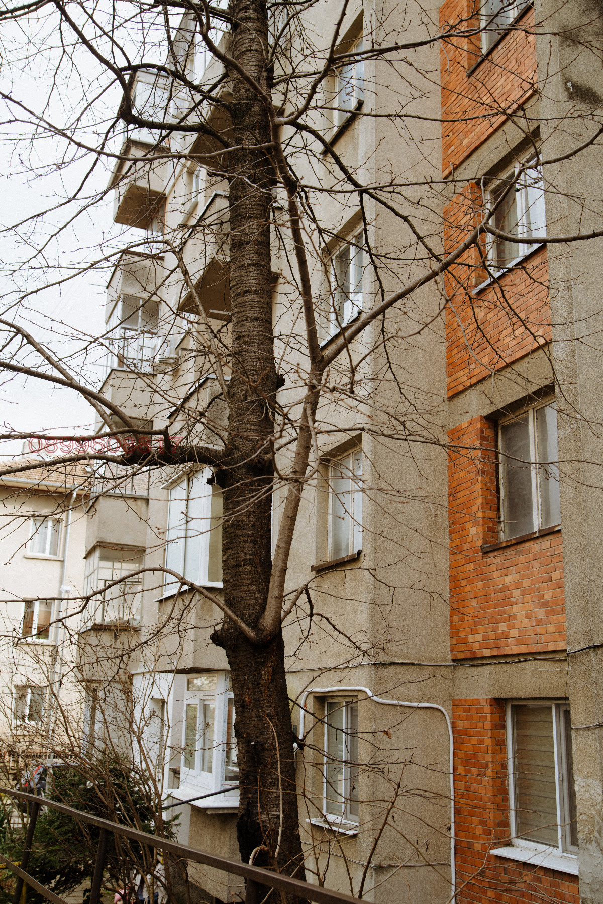 ���� ��� ���� 2-����� | Imot.bg � ����������� 17