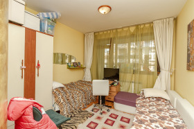 3+ camere da letto Gorna bania, Sofia 13