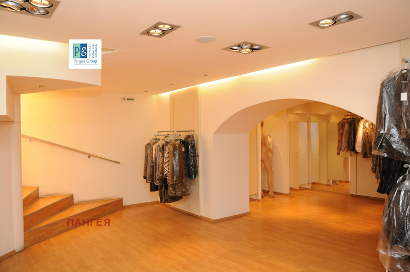 Дава под наем МАГАЗИН, гр. Пловдив, Център, снимка 6 - Магазини - 53165178