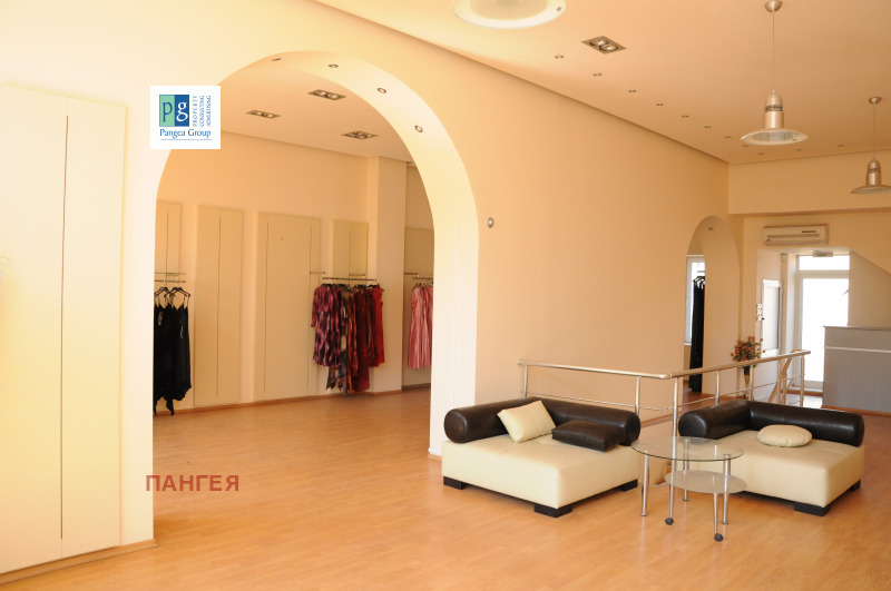 Дава под наем МАГАЗИН, гр. Пловдив, Център, снимка 5 - Магазини - 53165178