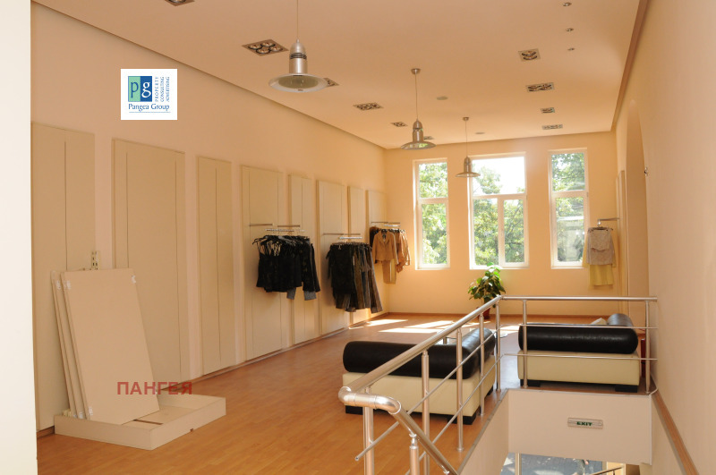 Дава под наем МАГАЗИН, гр. Пловдив, Център, снимка 3 - Магазини - 53165178