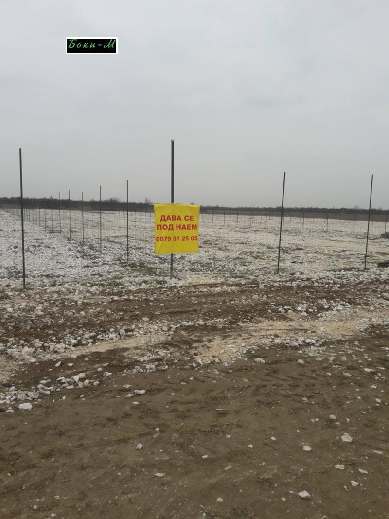 Da affittare  Complotto regione Plovdiv , Kaloianovo , 14000 mq | 69830533 - Immagine [10]
