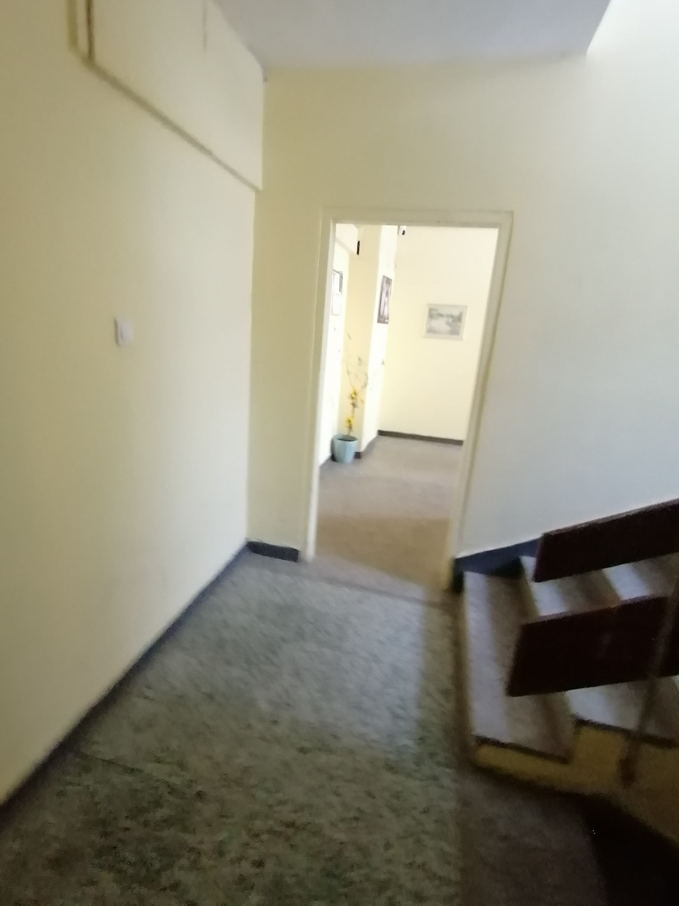 ���� ��� ���� 3-����� | Imot.bg � ����������� 13