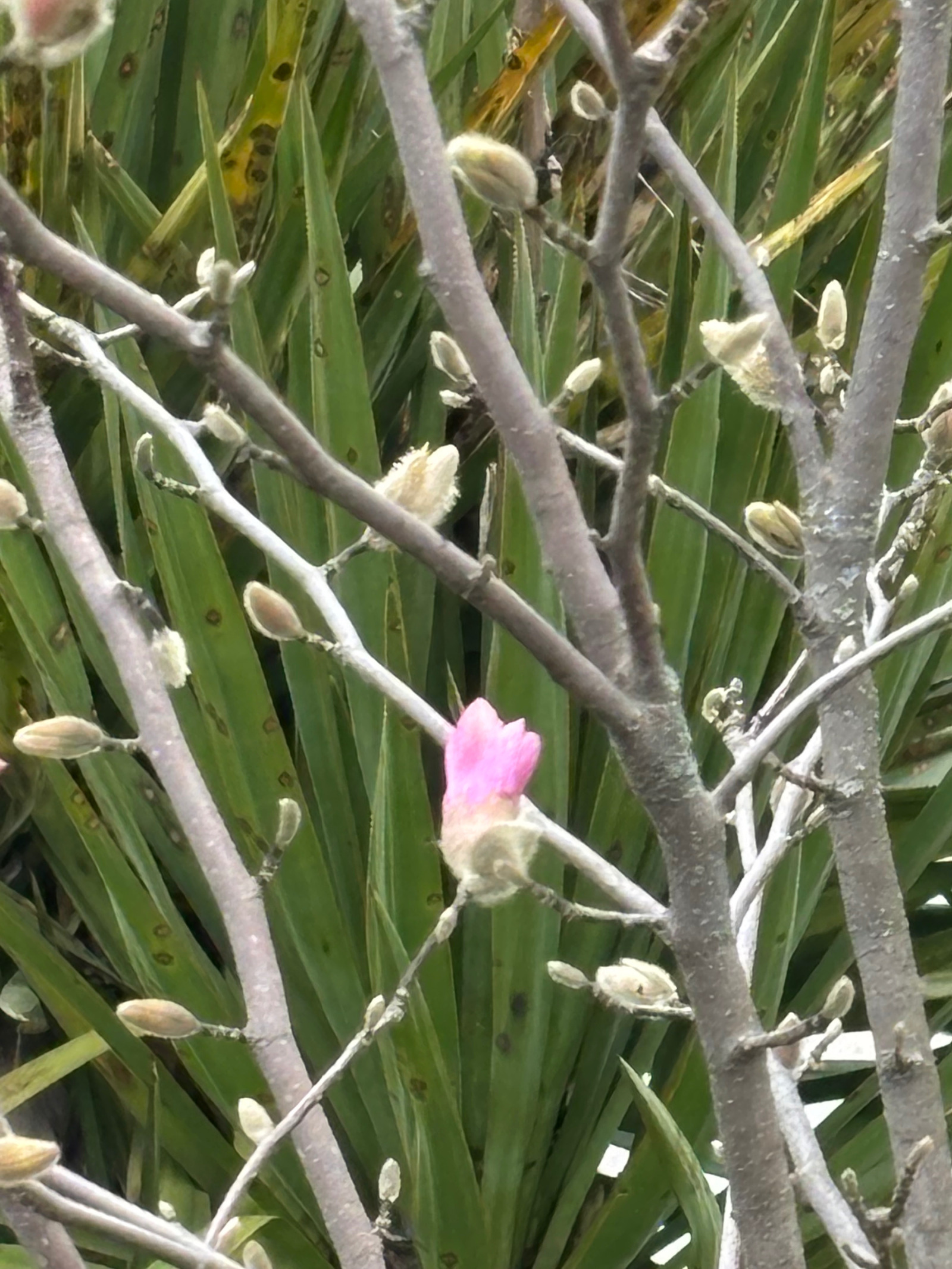 ���� ��� ���� ������� | Imot.bg � ����������� 1