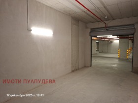 ����� ���� ��� ���� �����,���� �������, ������