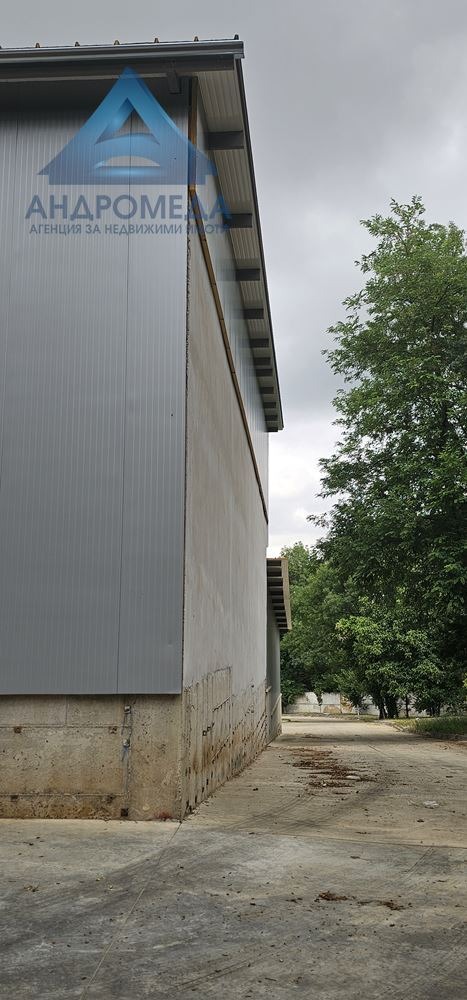 Kiralık  Depolamak Pleven , Industrialna zona , 1200 metrekare | 51844220 - görüntü [4]