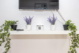 ����� ���� ��� ���� 1-�����,���� �������, �������� ����