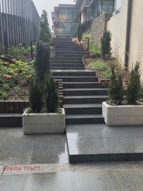 ����� ���� ��� ���� 3-�����,���� �����, ����������� ������