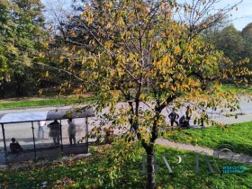 ���� ��� ���� 3-����� | Imot.bg � ����� ������ 12