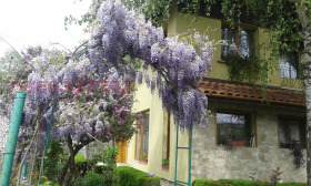 Casa Vitoșa, Sofia 1