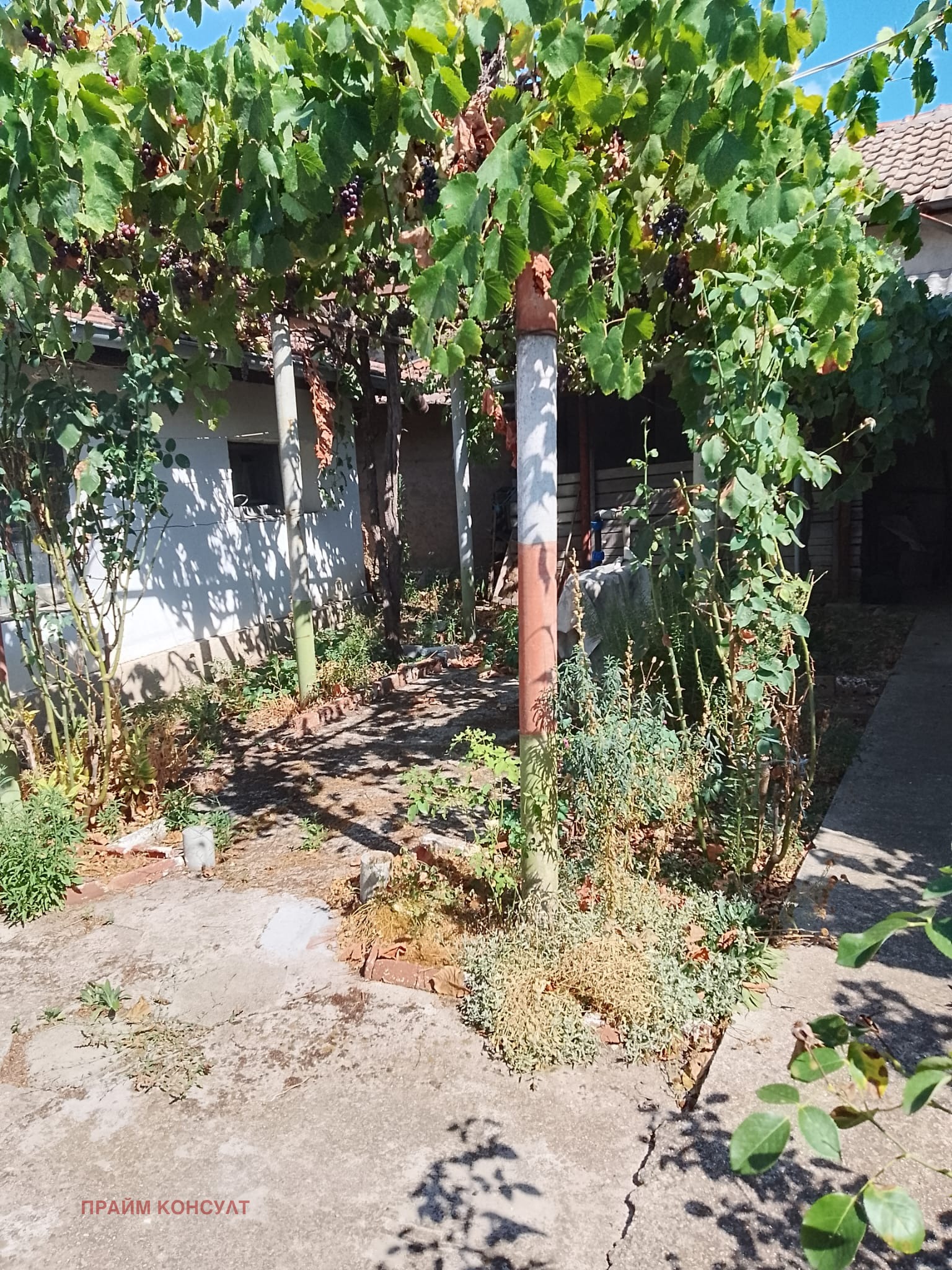 ���� ��� ���� ���� | Imot.bg � ����������� 6
