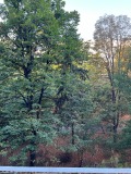 Под наем 2-СТАЕН, град София, Белите брези • 950 лв. • 80623782 — Holmes.bg