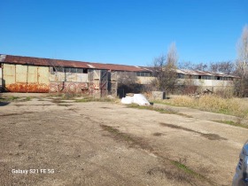 ������ ���� ��� ���� �����