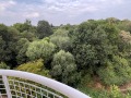 Под наем 2-СТАЕН, град София, Дианабад • 650 € • 47627650 — Holmes.bg