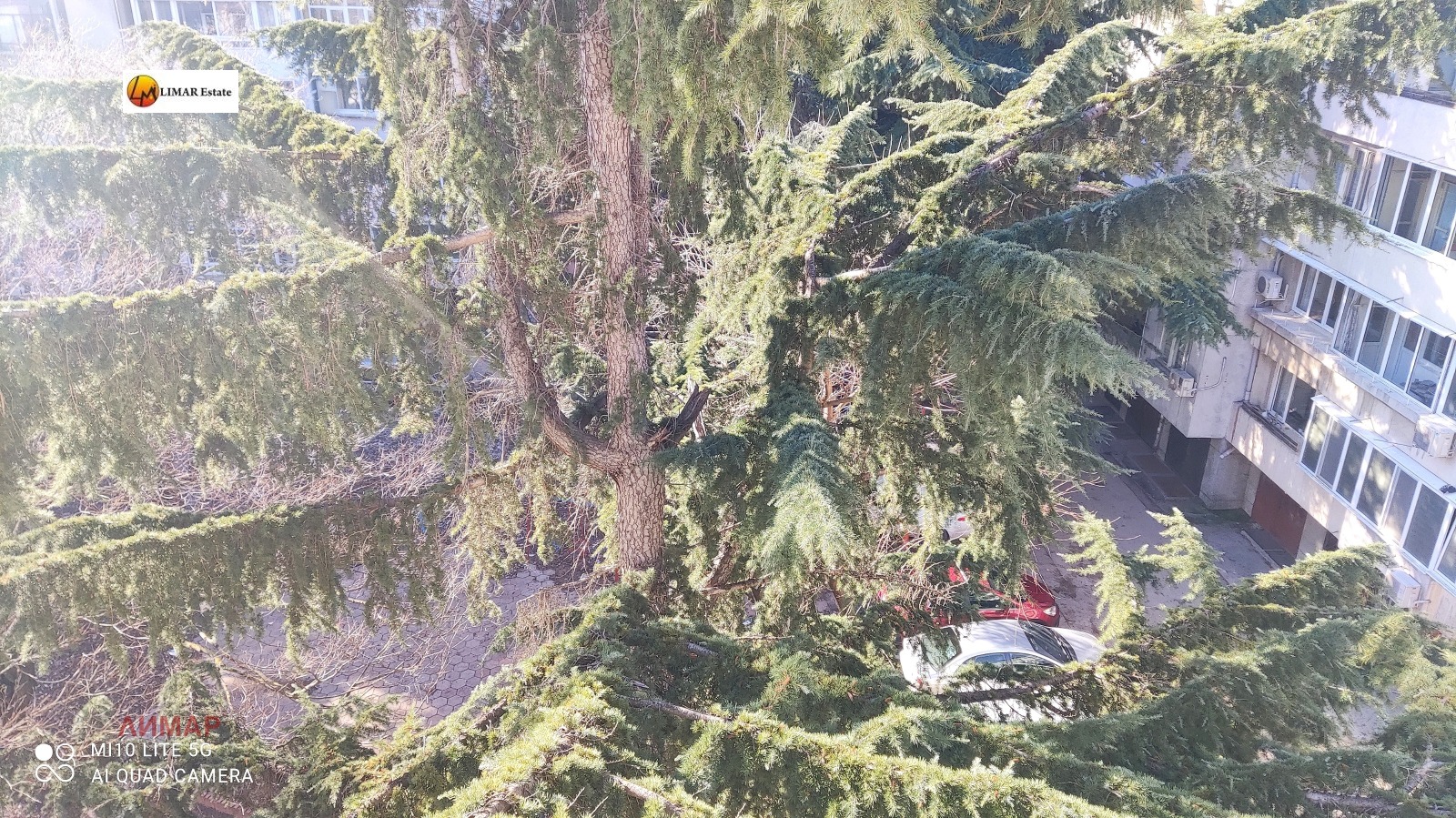 ���� ��� ���� 4-����� | Imot.bg � ����������� 16