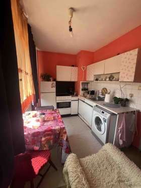 Studio Razsadnika, Sofia