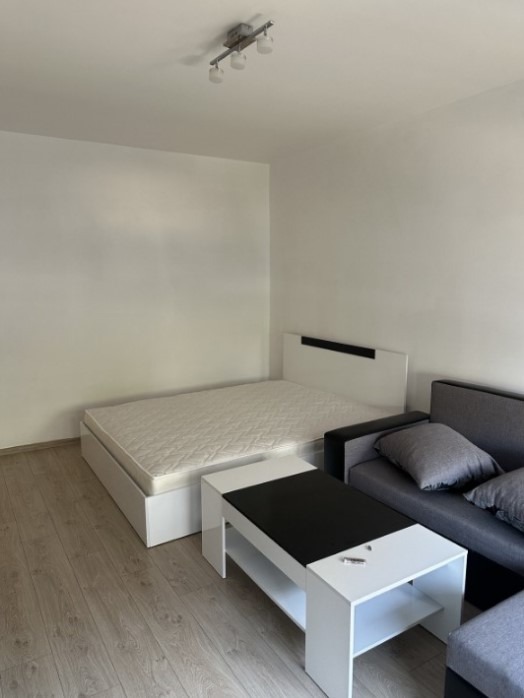 De inchiriat  Studio Sofia , Ovcia cupel 2 , 55 mp | 67421533 - imagine [2]