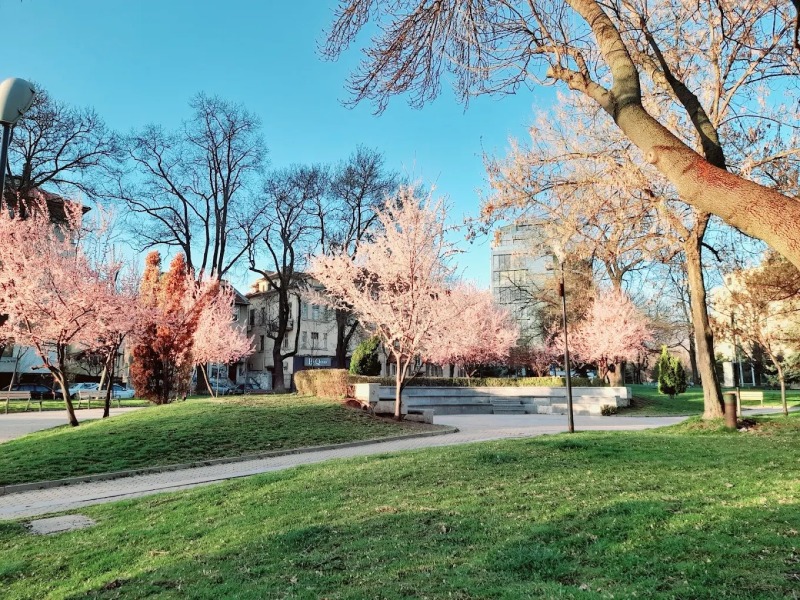 K pronájmu  1 ložnice Sofia , Lozenec , 70 m2 | 94784363 - obraz [13]