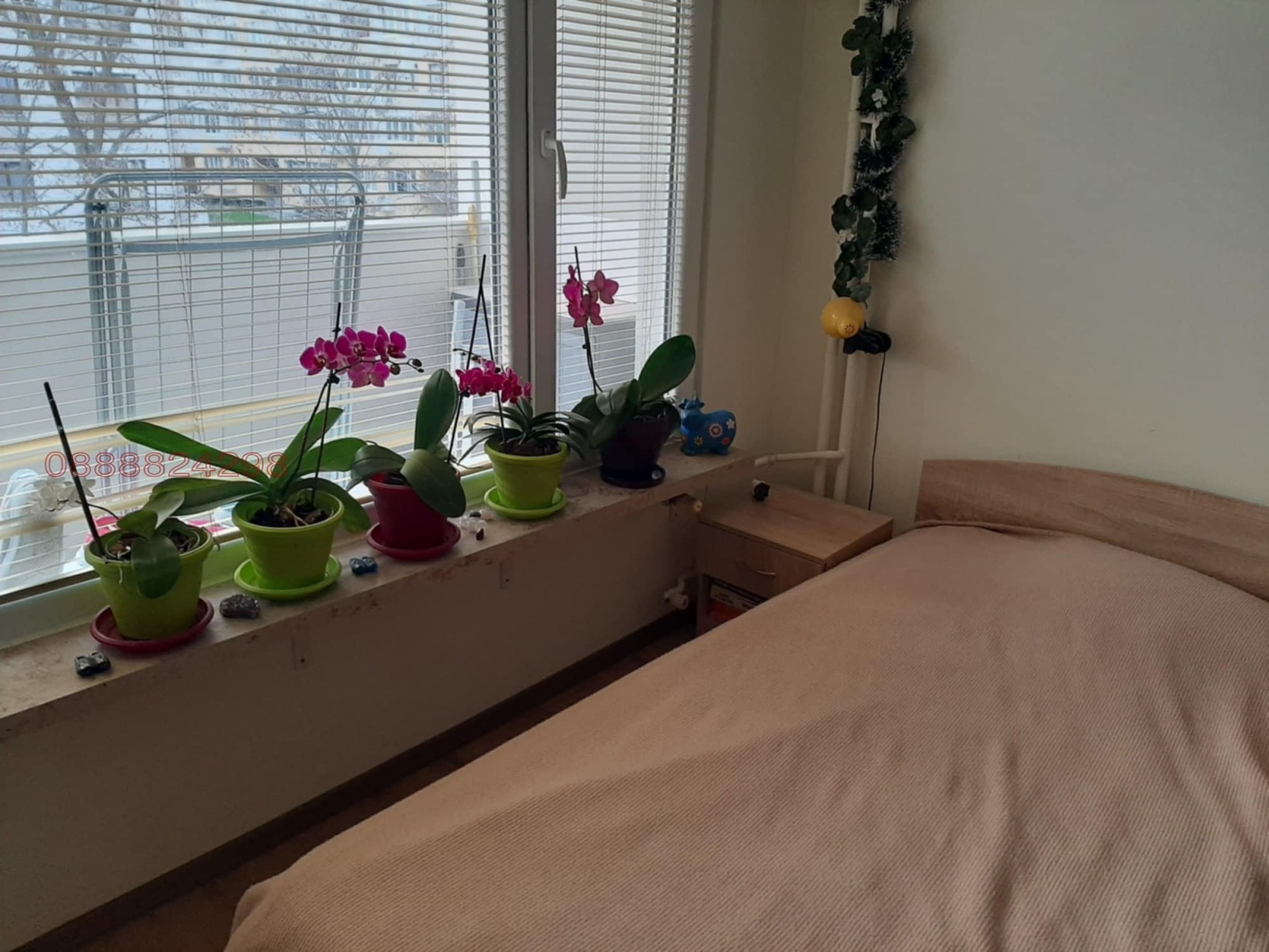 ���� ��� ���� 1-����� | Imot.bg � ����������� 11