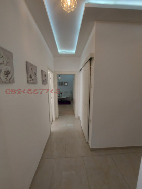 ����� ���� ��� ���� 3-�����,���� �����, ������