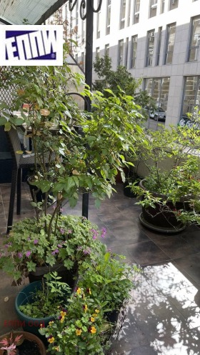 ���� ��� ���� 2-����� | Imot.bg � ����� ������ 15
