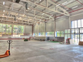 ����� ���� ��� ���� �����,���� �����, ���������