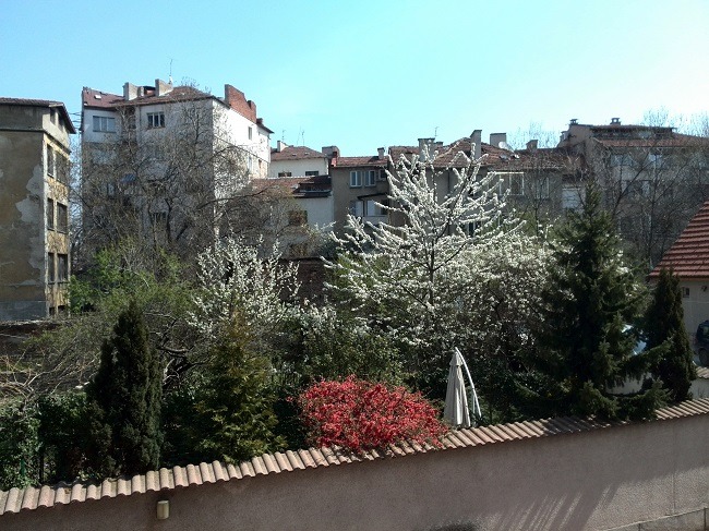 Издаје се  1 спаваћа соба Софија , Медицинска академија , 60 м2 | 34136698 - слика [7]