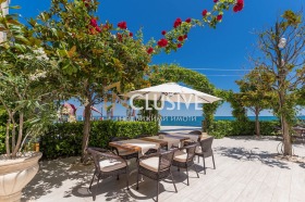 ����� ���� ��� ���� 3-�����,���� �����, �-� ���� ���