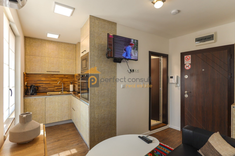 Дава под наем 2-СТАЕН, гр. Пловдив, Център, снимка 3 - Апартаменти - 53339411