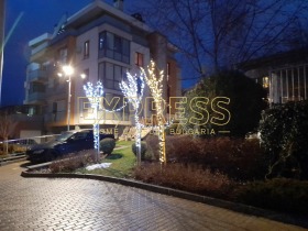 ������ ���� ��� ���� 2-�����