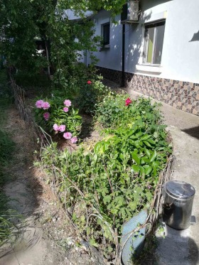 ���� ��� ���� 3-����� | Imot.bg � ����� ������ 3