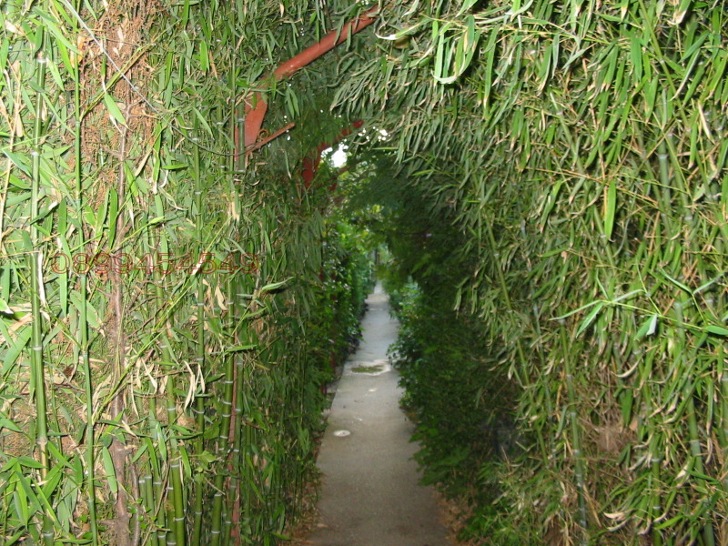 Дава под наем ХОТЕЛ, гр. Варна, к.к. Св.Св. Константин и Елена, снимка 7 - Хотели - 52781143