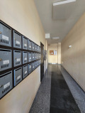 Под наем 2-СТАЕН, град София, Люлин 3 • 990 лв. • 89060317 — Holmes.bg