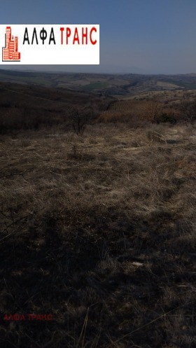 ���� ��� ������ ���������� ���� | Imot.bg � ����� ������ 2