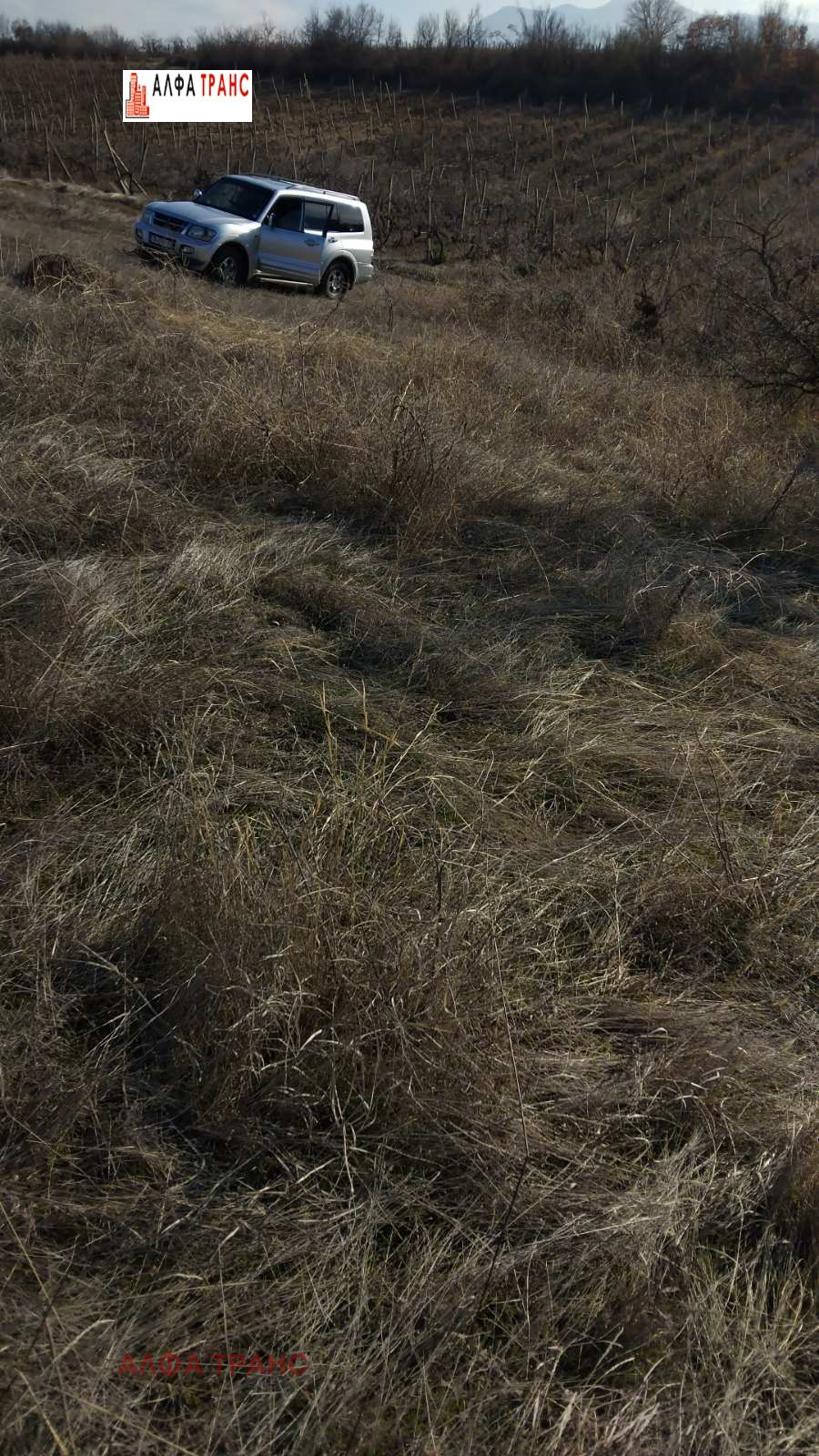 Дава под наем ЗЕМЕДЕЛСКА ЗЕМЯ, гр. Сандански, област Благоевград, снимка 2 - Земеделска земя - 53689567