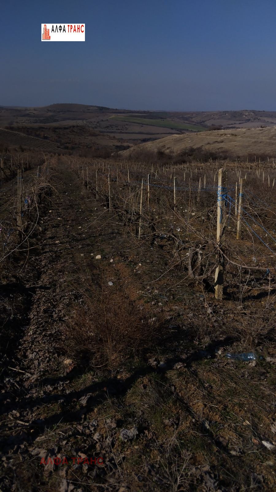 Дава под наем ЗЕМЕДЕЛСКА ЗЕМЯ, гр. Сандански, област Благоевград, снимка 3 - Земеделска земя - 53689567
