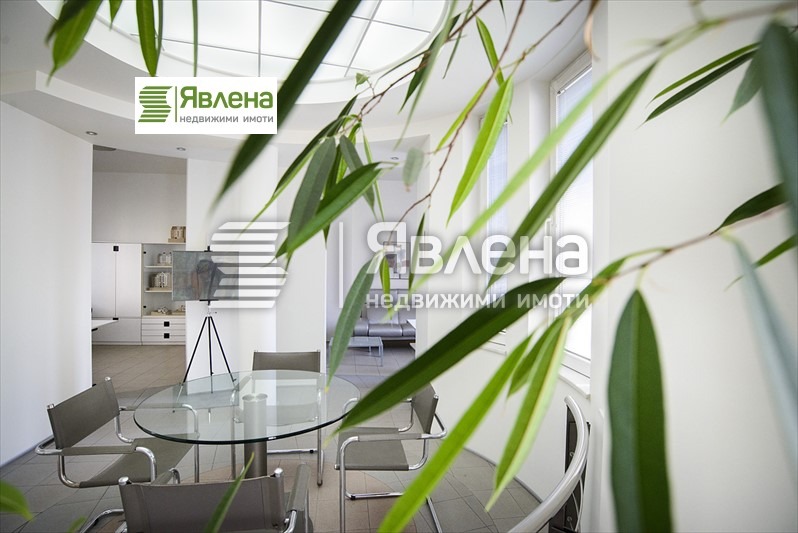 В оренду  Офіс София , Център , 75 кв.м | 21364382 - зображення [10]